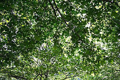 动作RPG《生死抉择：血霾》5月19日登陆Steam