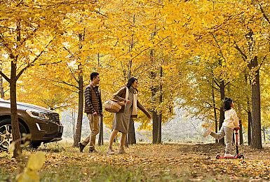 《塞尔达传说：王国之泪》主机模式分辨率900p 稳定30帧